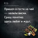 ���� �������, ������, 73 ���� - ��������� 23 ������ 2024 � ������ ���� ����������