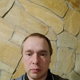 ������, 41 ���, �������