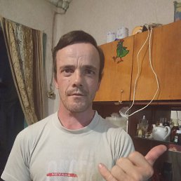 , 40, 