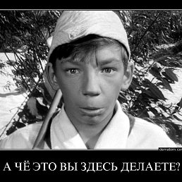  , , 54  -  13  2024
