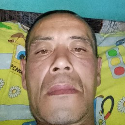 ���� ��������, ������, 44 ����