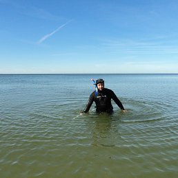 ������, �����������, 65 ���