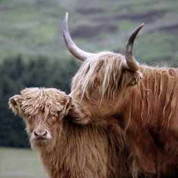 ���� ������, ������� ���� - ��������� 10 ������� 2026