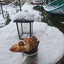 ���� Verita, �������, 36 ��� - ��������� 31 ����� 2024 � ������ ���� ����������