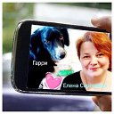 ���� ������ ���, ������, 51 ��� - ��������� 15 ������� 2026 � ������ ���� ����������