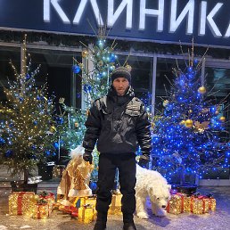 �����, ������, 37 ���