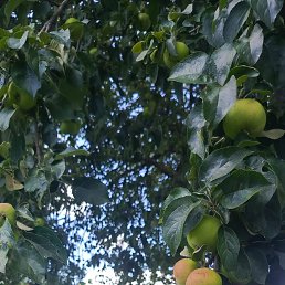 ���� ����, ����, 45 ��� - ��������� 8 ���� 2025