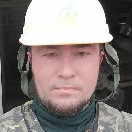 ������� �����������, �������-���������, 44 ����