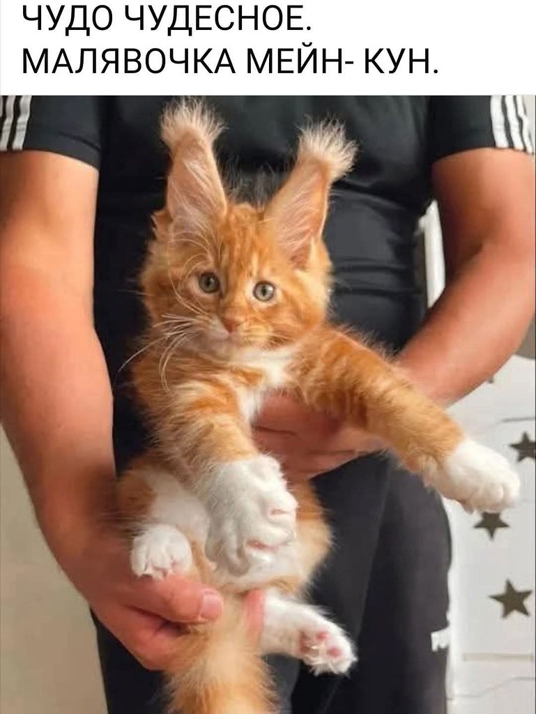 :)