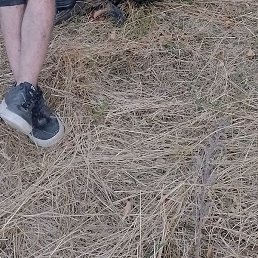 ���� �����, ���������, 30 ���