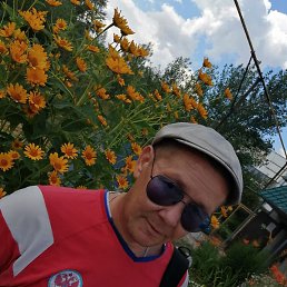 �����, ������, 46 ���