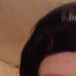 �������, ������, 40 ���