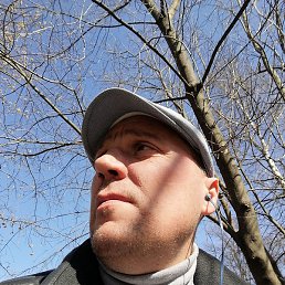 �������, �����-���������, 47 ���