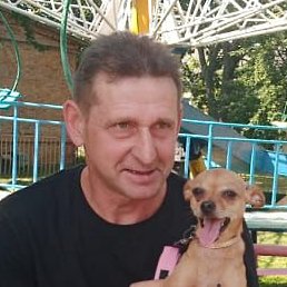 ���������, �������, 44 ����