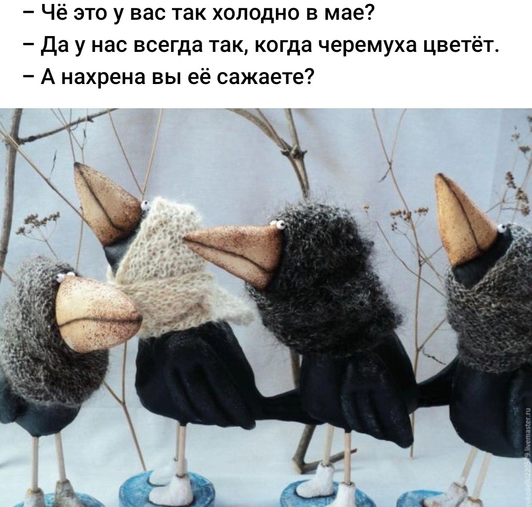  - 16  2025  14:47