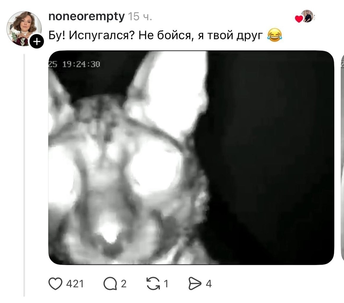 JPG - 16 ����� 2026 � 13:44 - 3