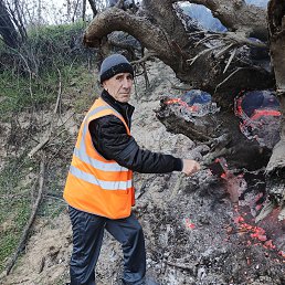 ��������, 62 ����, ������