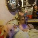 ���� ����, ������-��-����, 58 ��� - ��������� 2 ������ 2026 � ������ ���� ����������