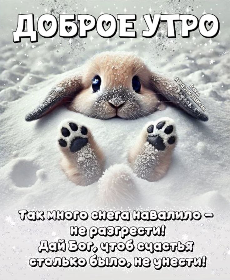 �� ����� ������! - 27 ������ 2026 � 11:14