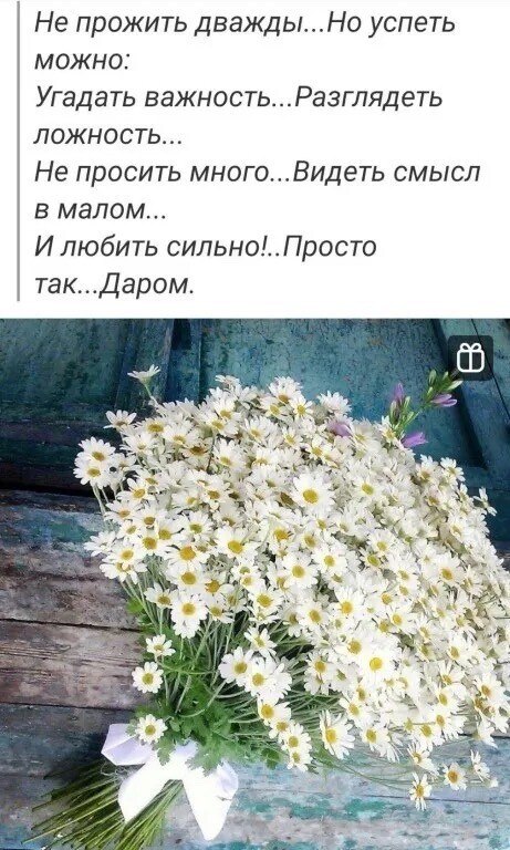   - 21  2025  18:04