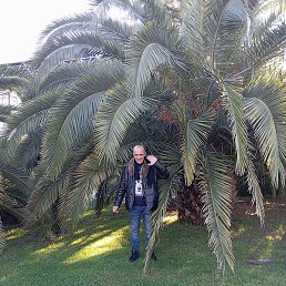 �����, ����, 54 ����