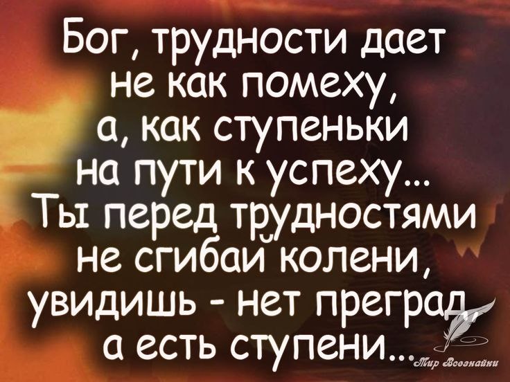 ��� ���� - 16 ���� 2026 � 16:01