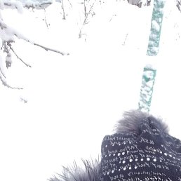 ���������, �����-���������, 39 ���