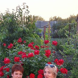 ���� �����, �������, 50 ��� - ��������� 14 ������� 2025