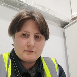 ��������, 44 ����, ������