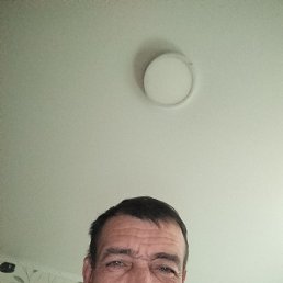 , 48 , 