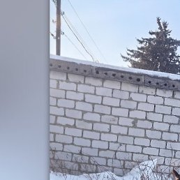 �������, ����, 46 ���