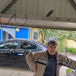 , 59, 