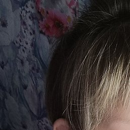 ������, ����������, 46 ���