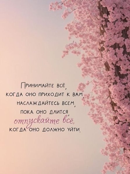  - 26  2025  21:33