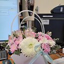 ���� �������, ����, 51 ��� - ��������� 4 ������ 2026 � ������ ���� ����������