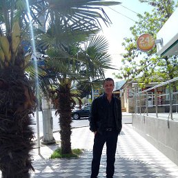 ������, ���������, 43 ����