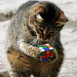 �������, ������, 56 ���