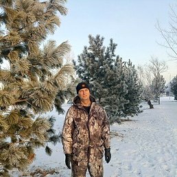 �������, ����������, 48 ���