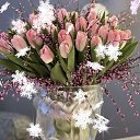 ���� ����, ������, 76 ��� - ��������� 29 ������� 2023 � ������ ���� ����������