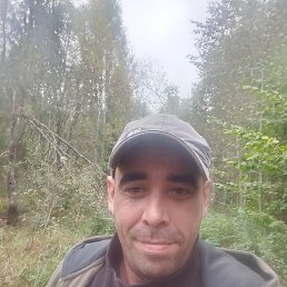 , 41, -