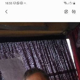 �����, ������, 62 ����