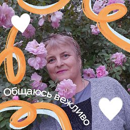 ���� ������, ������, 57 ��� - ��������� 24 ������ 2023