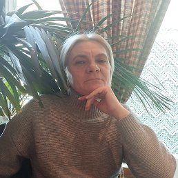 ���� �����, ������, 49 ��� - ��������� 29 ����� 2026