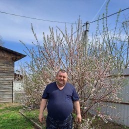 , 54, 