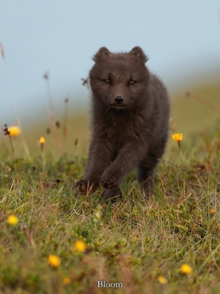 oa  a, o aa peca ,  cpa oea o ce c, o ep ca ca ...