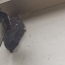 �������, ������, 40 ���