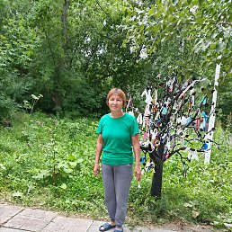 �����, �����������, 53 ����