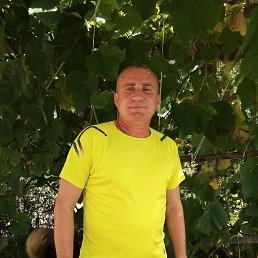 , 51, 