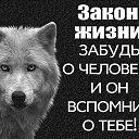 ���� ������, ���������, 61 ��� - ��������� 12 ������� 2025 � ������ ���� ����������