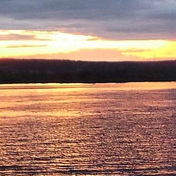 ���������, ������, 41 ���